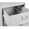 Archivero vertical 510 de 2 gavetas Metalico